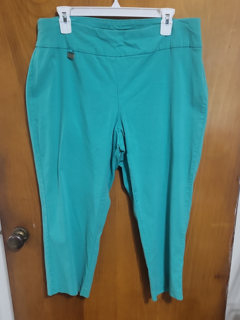 Alfani Size 16w Teal Ankle Pull-On Pants